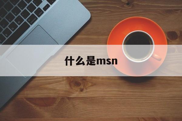 什么是msn:(msn人群是什么意思啊)