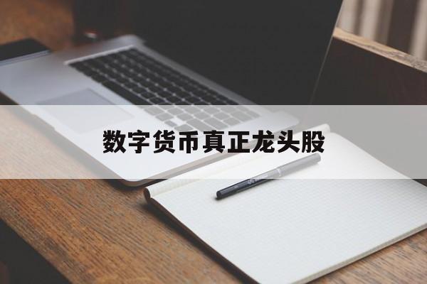 数字货币真正龙头股:(加密货币概念股普涨新)