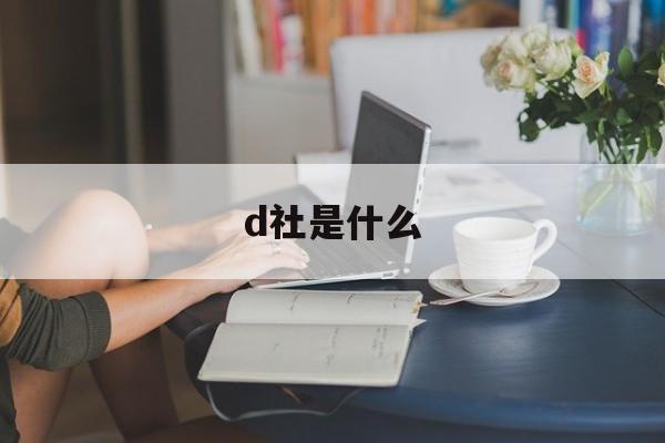 d社是什么:(d社游戏公司)