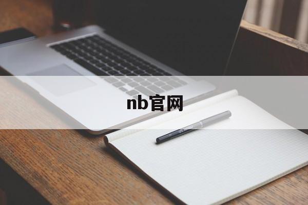 nb官网:(莆田新百伦和正品区别)